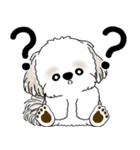シーズー犬 2025「飛び出す」No.2（縦長）（個別スタンプ：10）