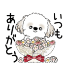 シーズー犬 2025「飛び出す」No.2（縦長）（個別スタンプ：11）