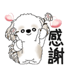 シーズー犬 2025「飛び出す」No.2（縦長）（個別スタンプ：12）