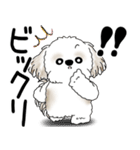 シーズー犬 2025「飛び出す」No.2（縦長）（個別スタンプ：13）