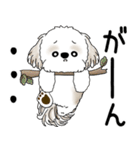 シーズー犬 2025「飛び出す」No.2（縦長）（個別スタンプ：14）