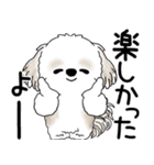 シーズー犬 2025「飛び出す」No.2（縦長）（個別スタンプ：16）