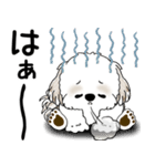 シーズー犬 2025「飛び出す」No.2（縦長）（個別スタンプ：18）