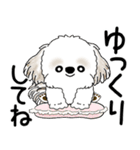 シーズー犬 2025「飛び出す」No.2（縦長）（個別スタンプ：23）