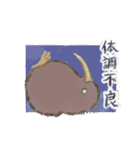 水彩風キーウィの日常（個別スタンプ：6）