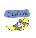 黒チワワダヨ！！（個別スタンプ：4）