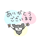 黒チワワダヨ！！（個別スタンプ：6）