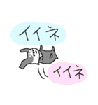 黒チワワダヨ！！（個別スタンプ：15）