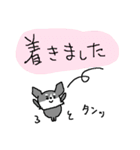 黒チワワダヨ！！（個別スタンプ：25）