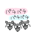 黒チワワダヨ！！（個別スタンプ：33）
