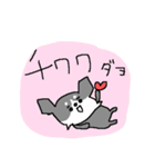 黒チワワダヨ！！（個別スタンプ：34）