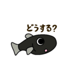 すいすいメダカのスタンプ2（個別スタンプ：6）
