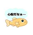 すいすいメダカのスタンプ2（個別スタンプ：14）