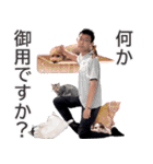 それいけ！まもやん（個別スタンプ：9）