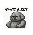 トイプードルの世界感（個別スタンプ：24）