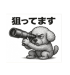 大人気のトイプードル（個別スタンプ：16）