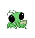 カマミとカマキチ（個別スタンプ：3）