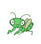 カマミとカマキチ（個別スタンプ：15）