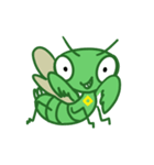 カマミとカマキチ（個別スタンプ：16）