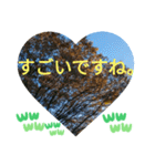 回る暮らしの中で日常挨拶 日本人の言葉（個別スタンプ：3）