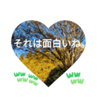 回る暮らしの中で日常挨拶 日本人の言葉（個別スタンプ：5）