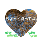 回る暮らしの中で日常挨拶 日本人の言葉（個別スタンプ：6）