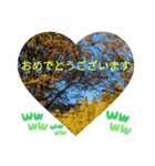 回る暮らしの中で日常挨拶 日本人の言葉（個別スタンプ：8）