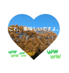 回る暮らしの中で日常挨拶 日本人の言葉（個別スタンプ：13）