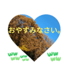 回る暮らしの中で日常挨拶 日本人の言葉（個別スタンプ：23）