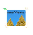 レッツフライ大冒険日常挨拶バンコク（個別スタンプ：3）