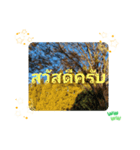 レッツフライ大冒険日常挨拶バンコク（個別スタンプ：5）