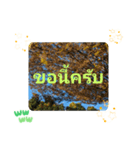 レッツフライ大冒険日常挨拶バンコク（個別スタンプ：14）