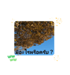 レッツフライ大冒険日常挨拶バンコク（個別スタンプ：27）