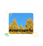 レッツフライ大冒険日常挨拶バンコク（個別スタンプ：29）