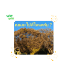 レッツフライ大冒険日常挨拶バンコク（個別スタンプ：33）