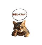 ネコにゃんにゃんにゃんニャン（個別スタンプ：15）
