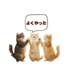 ネコにゃんにゃんにゃんニャン（個別スタンプ：18）