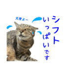 キジトラたいの⭐︎キラキラ介護スタンプ2（個別スタンプ：5）