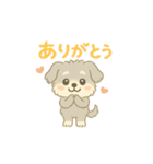 ぽわぽわシュナまる（個別スタンプ：1）