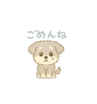 ぽわぽわシュナまる（個別スタンプ：2）