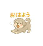 ぽわぽわシュナまる（個別スタンプ：4）