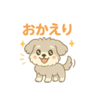 ぽわぽわシュナまる（個別スタンプ：8）