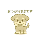 ぽわぽわシュナまる（個別スタンプ：11）