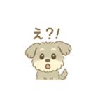 ぽわぽわシュナまる（個別スタンプ：13）