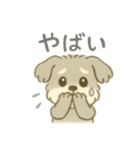 ぽわぽわシュナまる（個別スタンプ：14）