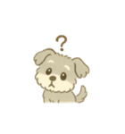 ぽわぽわシュナまる（個別スタンプ：15）