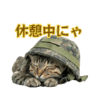 陸上自衛隊の猫（個別スタンプ：3）