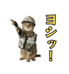 陸上自衛隊の猫（個別スタンプ：12）