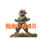 陸上自衛隊の猫（個別スタンプ：16）