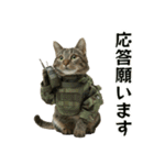陸上自衛隊の猫（個別スタンプ：17）